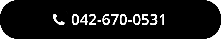 tel:042-670-0531
